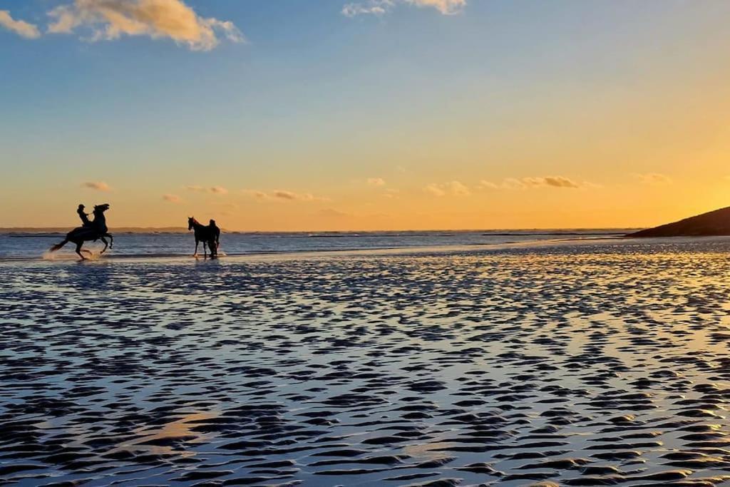 Petit * Berck